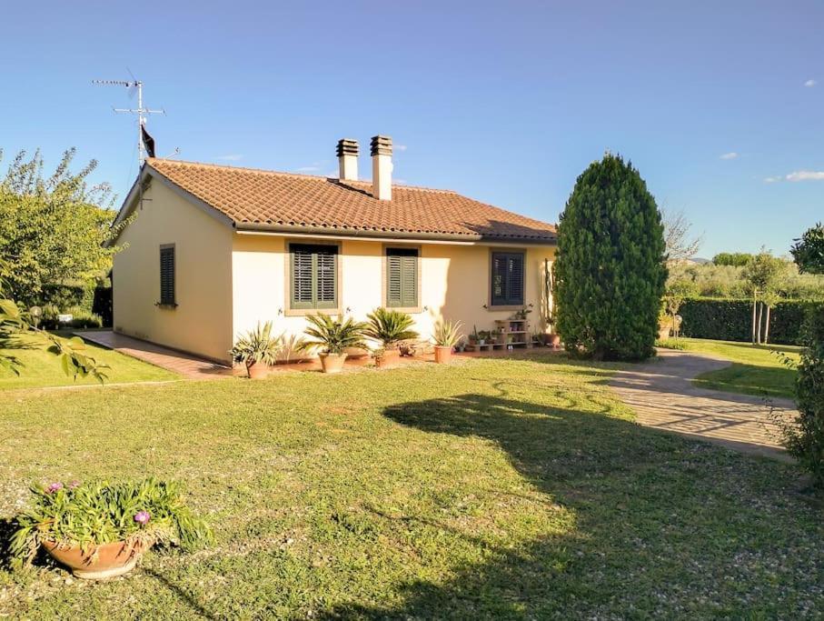 Villetta Rio, Large Private Garden Cecina (Livorno) Ngoại thất bức ảnh