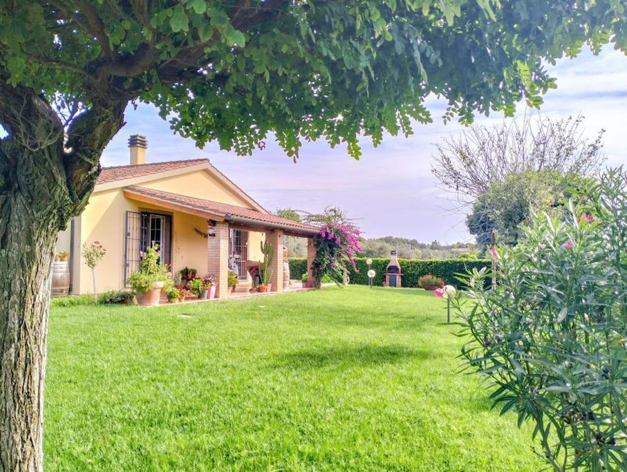 Villetta Rio, Large Private Garden Cecina (Livorno) Ngoại thất bức ảnh
