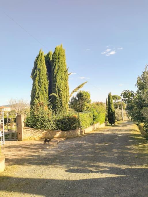 Villetta Rio, Large Private Garden Cecina (Livorno) Ngoại thất bức ảnh